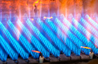 Llandygai gas fired boilers